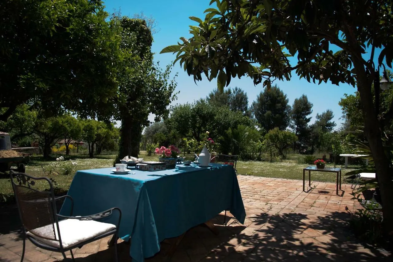 B&B Valle Allegra Gravina di Catania Bed & Breakfast